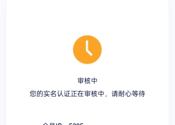 请审核实名认证